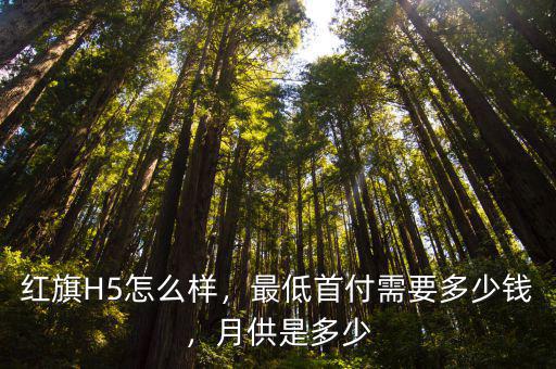 紅旗H5怎么樣，最低首付需要多少錢，月供是多少