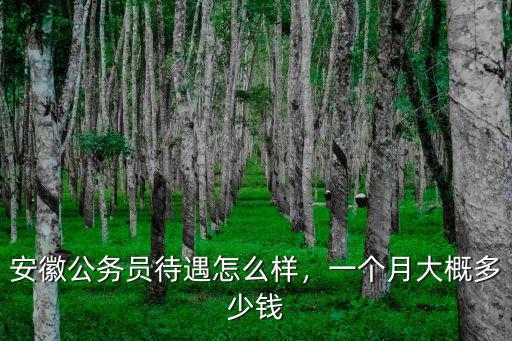 蕪湖市公務員一個月多少錢,一個月大概多少錢