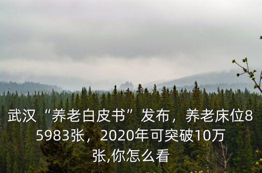 武漢“養老白皮書”發布，養老床位85983張，2020年可突破10萬張,你怎么看