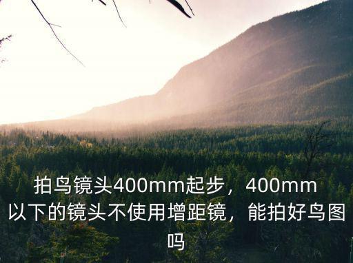 拍鳥鏡頭400mm起步，400mm以下的鏡頭不使用增距鏡，能拍好鳥圖嗎