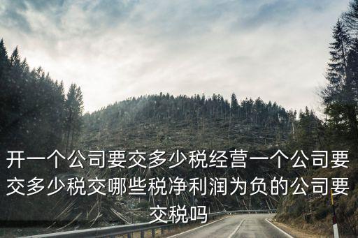 河北地區公司一年多少稅,開一個公司要交多少稅
