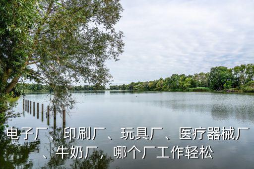 電子廠、印刷廠、玩具廠、醫療器械廠、牛奶廠，哪個廠工作輕松