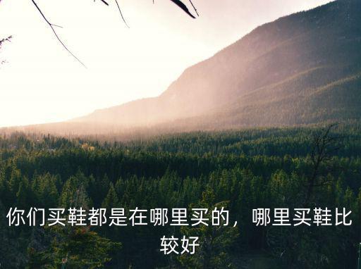 成都哪里有賣歐文傳鞋,歐文有哪些球鞋