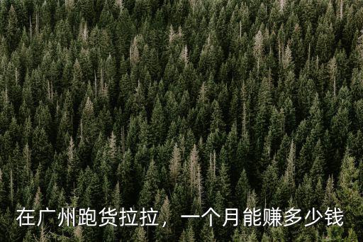 保定貨拉拉加盟費多少錢,在廣州跑貨拉拉