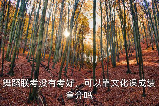 舞蹈聯(lián)考沒有考好，可以靠文化課成績拿分嗎