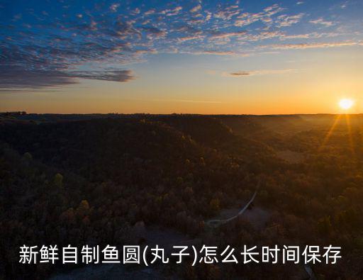 湖北嘉魚魚圓怎么做,魚丸怎么做口感比較有彈性