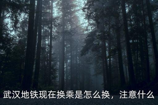 在武漢站怎么站內(nèi)換乘,武漢火車站站內(nèi)要如何換乘