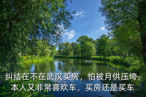 糾結(jié)在不在武漢買房，怕被月供壓垮，本人又非常喜歡車，買房還是買車