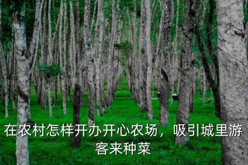 在農(nóng)村怎樣開辦開心農(nóng)場，吸引城里游客來種菜