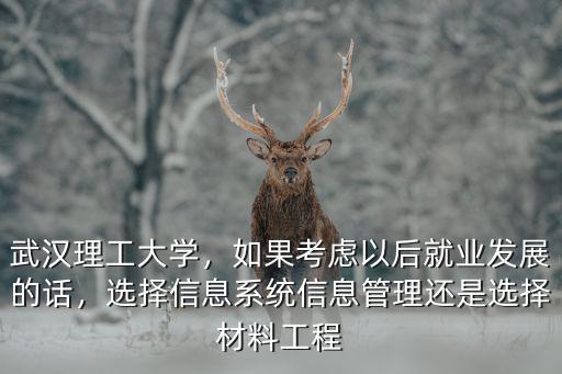 武漢理工大學(xué)，如果考慮以后就業(yè)發(fā)展的話，選擇信息系統(tǒng)信息管理還是選擇材料工程