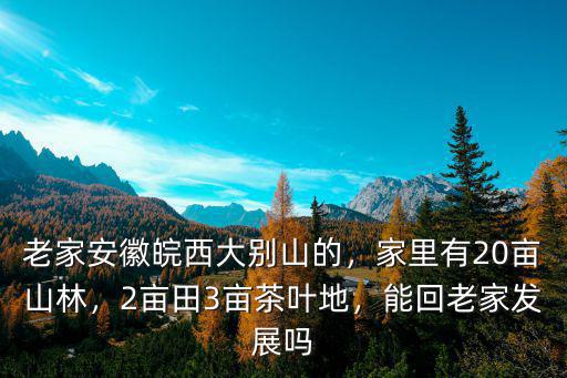 老家安徽皖西大別山的，家里有20畝山林，2畝田3畝茶葉地，能回老家發(fā)展嗎