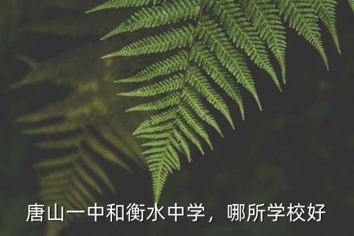 唐山一中和衡水中學(xué)，哪所學(xué)校好