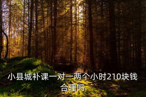小縣城補課一對一兩個小時210塊錢合理嗎