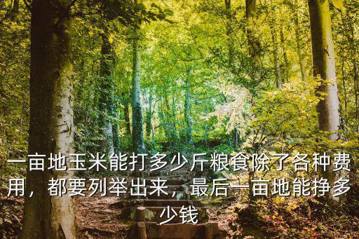 一畝地玉米能打多少斤糧食除了各種費用，都要列舉出來，最后一畝地能掙多少錢