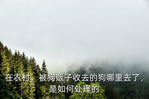 內江抓了狗賣去哪里,偷狗賊偷的狗都去哪里了