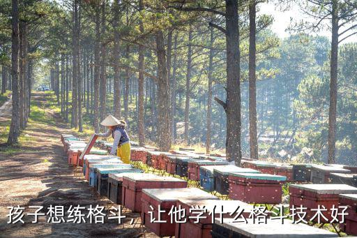 孩子想練格斗，讓他學(xué)什么格斗技術(shù)好
