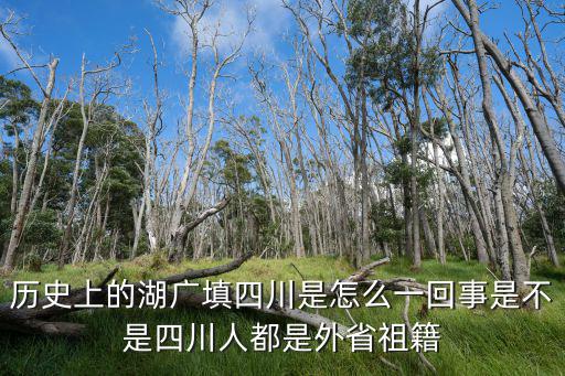 湖廣填四川張氏祖籍哪里,湖廣填四川是不是真的