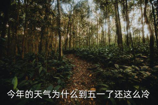 今年的天氣為什么到五一了還這么冷