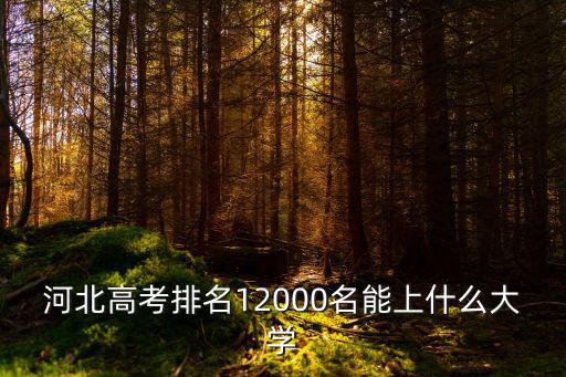 河北有多少人上延邊大學,延邊大學怎么樣