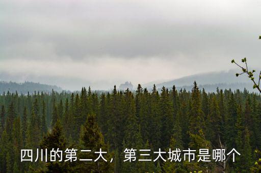 四川第四大城市是哪里,第三大城市是哪個(gè)
