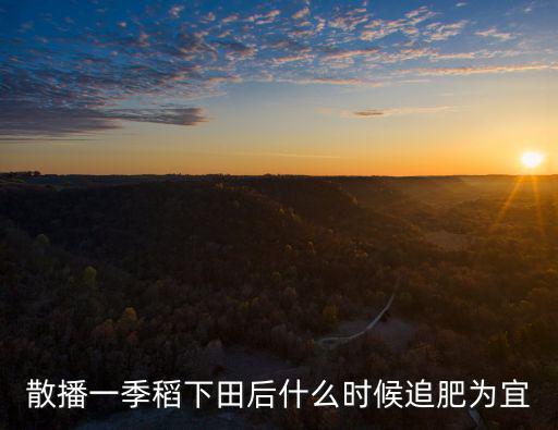 散播一季稻下田后什么時候追肥為宜