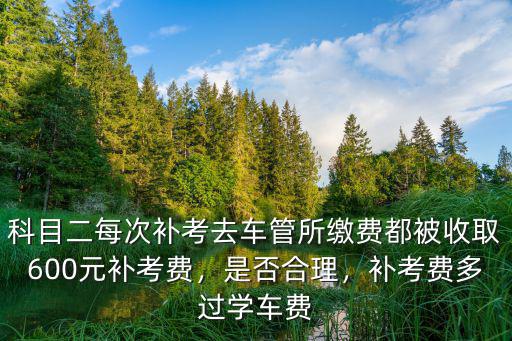 科一補考費多少錢河南,補考費每次交了多少錢