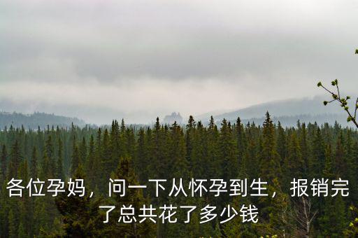 河北產檢最多報銷多少,生育險到底能報銷多少