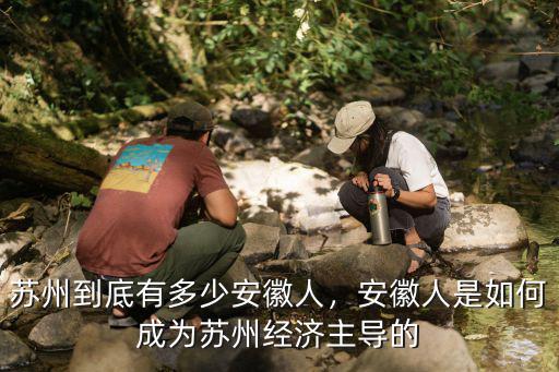 安徽民盟有多少人,蘇州到底有多少安徽人
