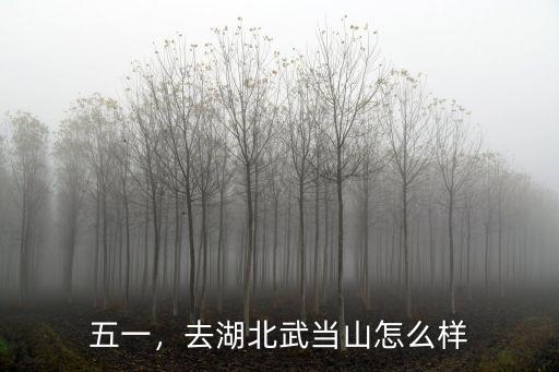 五一湖北武當山怎么樣,湖北武當山怎么樣