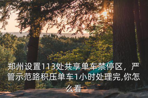 鄭州的共享單車怎么,鄭州街頭現(xiàn)共享單車立體車庫