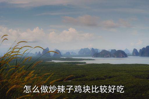 用水炒雞怎么做好吃鄂州,怎么做才好吃