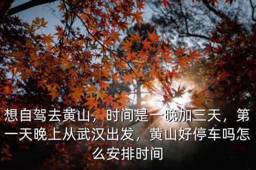 武漢至黃山自駕多少公里,從武漢開車去黃山