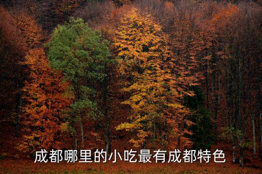 成都哪里的小吃最有成都特色