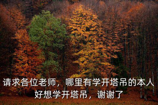請求各位老師，哪里有學開塔吊的本人好想學開塔吊，謝謝了