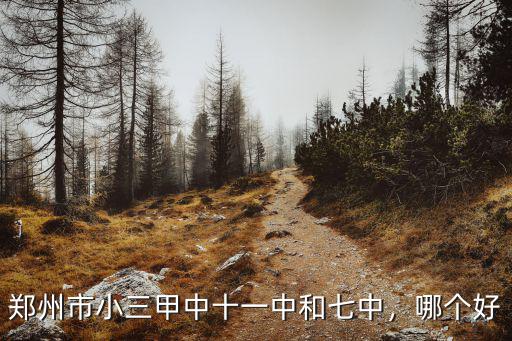 鄭州市小三甲中十一中和七中，哪個好