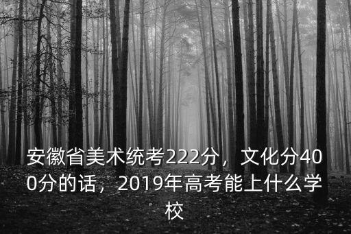 安徽省美術統考222分，文化分400分的話，2019年高考能上什么學校