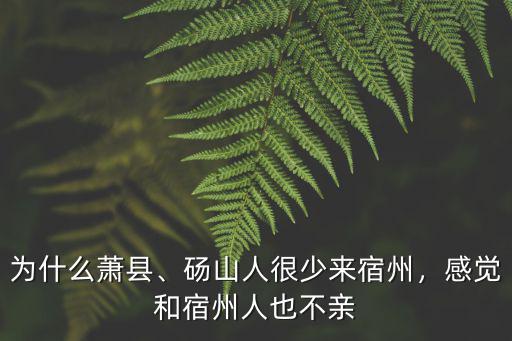 宿州建市有多少人,碭山人很少來宿州