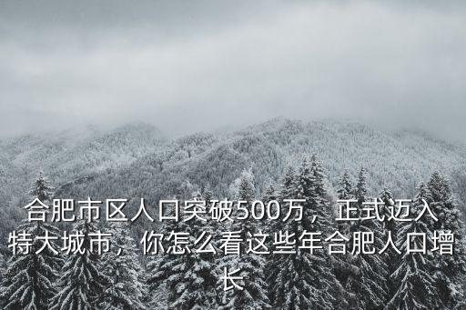 合肥華南城有多少人口,你怎么看這些年合肥人口增長