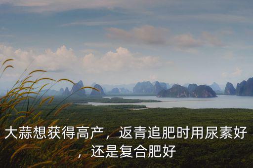 大蒜返青水一畝地沖多少復合肥,還是復合肥好