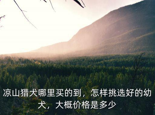 涼山獵犬哪里買的到，怎樣挑選好的幼犬，大概價格是多少