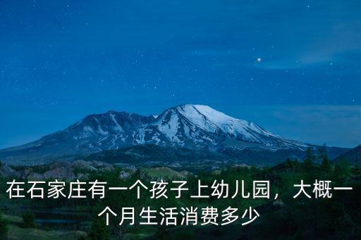 在石家莊有一個孩子上幼兒園，大概一個月生活消費多少