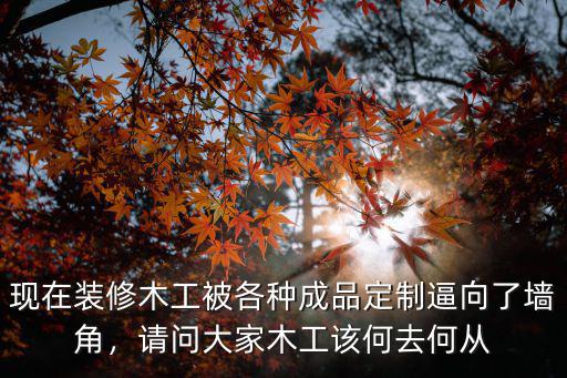 湖北木工裝修怎么樣,木工室內(nèi)裝修前景怎么樣