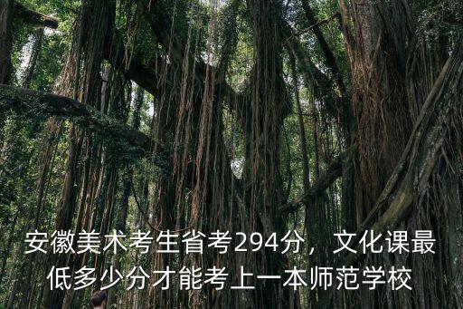 安徽美術(shù)考生省考294分，文化課最低多少分才能考上一本師范學(xué)校