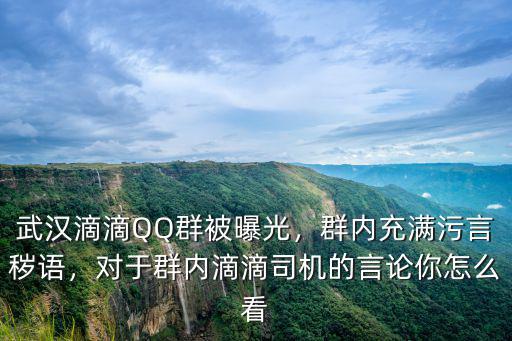 武漢滴滴QQ群被曝光，群內充滿污言穢語，對于群內滴滴司機的言論你怎么看
