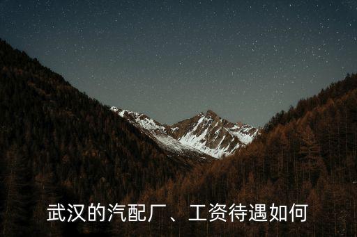 武漢源興汽配廠怎么樣,武漢東風汽配廠待遇怎么樣