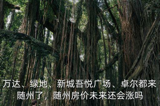萬達、綠地、新城吾悅廣場、卓爾都來隨州了，隨州房價未來還會漲嗎