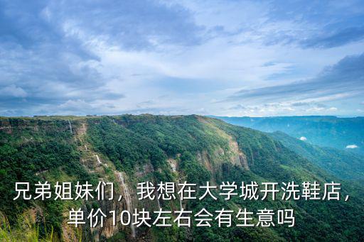 兄弟姐妹們，我想在大學城開洗鞋店，單價10塊左右會有生意嗎