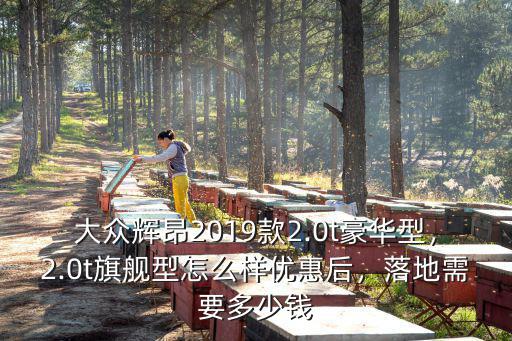 大眾輝昂2019款2.0t豪華型，2.0t旗艦型怎么樣優惠后，落地需要多少錢