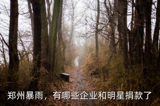鄭州暴雨，有哪些企業和明星捐款了