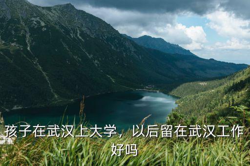 在武漢工作定居怎么樣,現(xiàn)在工作地點在武漢
